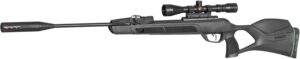 Best Gamo Pellet Guns