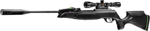 best Gamo pellet guns