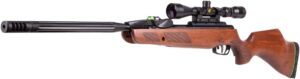 Swarm Bone Collector 10X Gen3i Multi-Shot Air Rifle 