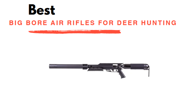 Best Big Bore Air Rifles for Deer Hunting