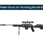 Best Pellet Guns for Hunting Small Game