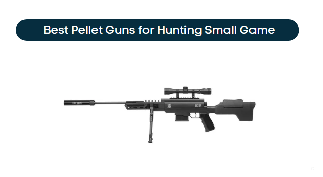Best Pellet Guns for Hunting Small Game