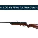 Best CO2 Air Rifles for Pest Control​
