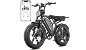 TST Electric Bike
