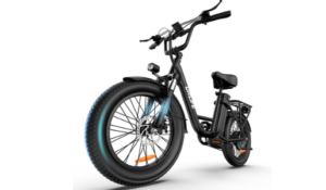 URLIFE Fat Tire Electric Bike