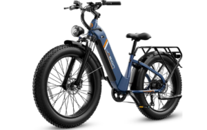 Jasion Thunder Electric Bike