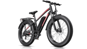 Funhang Electric Bike for Adults
