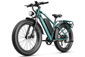 Jasion EB5 MAX Electric Bike