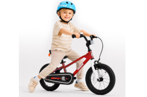 RoyalBaby EZ Kids Bike