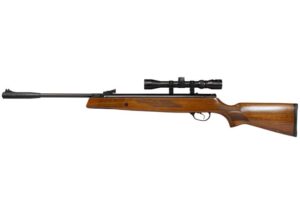 Best Pellet Guns for Hunting Small Game