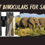 Best Binoculars for Safari