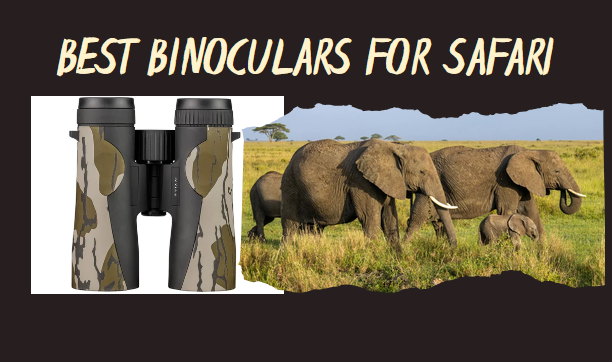 Best Binoculars for Safari