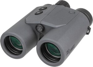 SIG SAUER Canyon 10x42mm