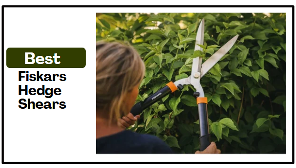 Best Fiskars Hedge Shears