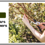 Best Fiskars Pruners