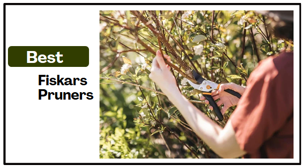 Best Fiskars Pruners