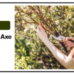 Best Fiskars Axe