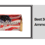 Best 308 Hunting Ammo​