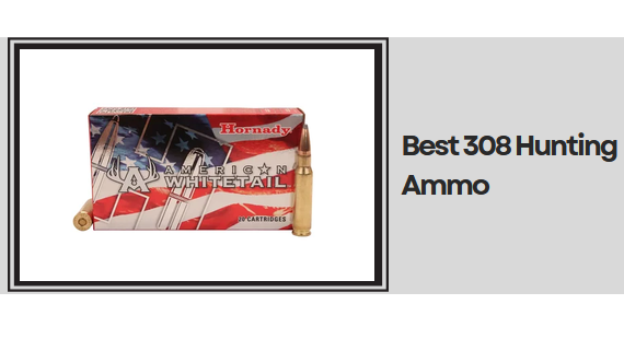 Best 308 Hunting Ammo​