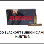 Best 300 Blackout Subsonic Ammo for Hunting