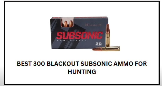 Best 300 Blackout Subsonic Ammo for Hunting