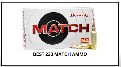 Best 223 Match Ammo