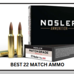 Best 22 Match Ammo​