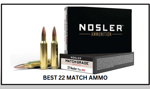 Best 22 Match Ammo​