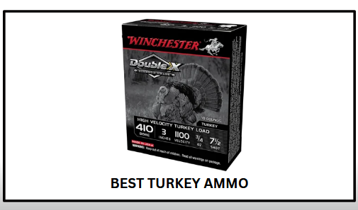 Best Turkey Ammo