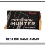 Best Big Game Ammo