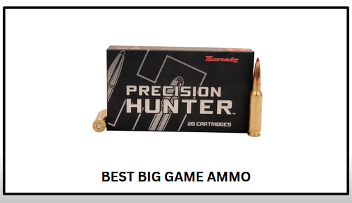 Best Big Game Ammo