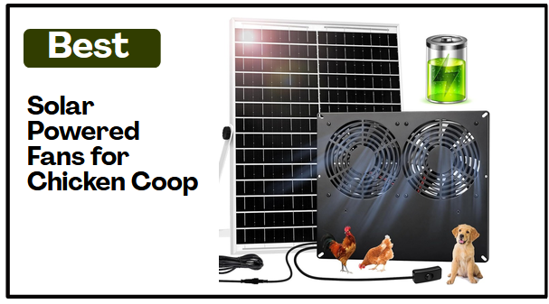 Best Solar Powered Fans for Chicken Coop
