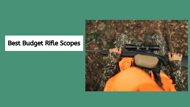 Best Budget Rifle Scopes